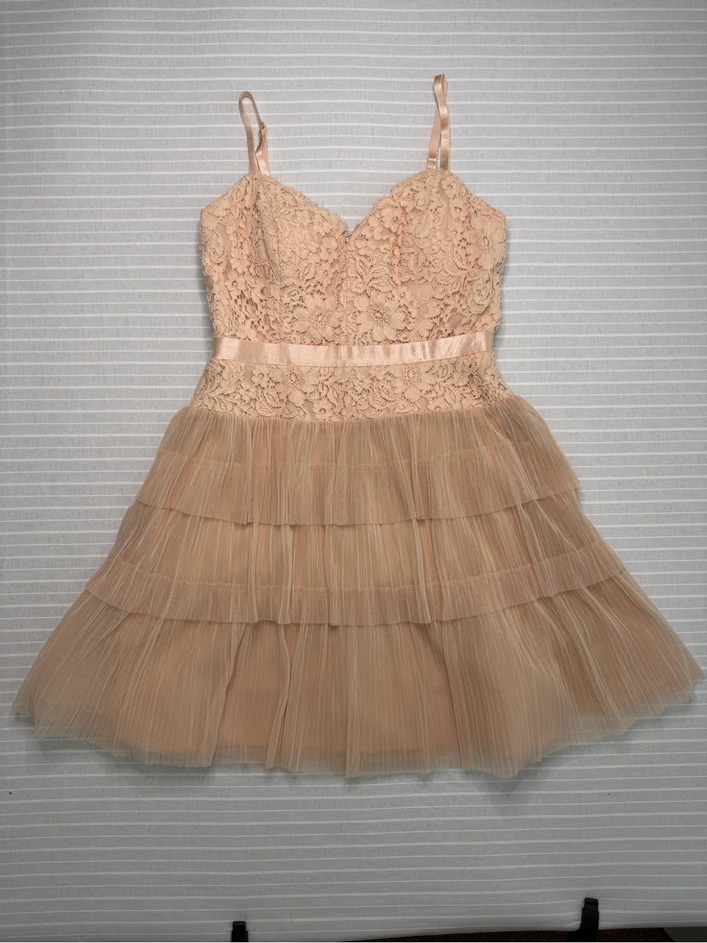 BCBGMAXAZRIA Blush Lace & Tulle Dress